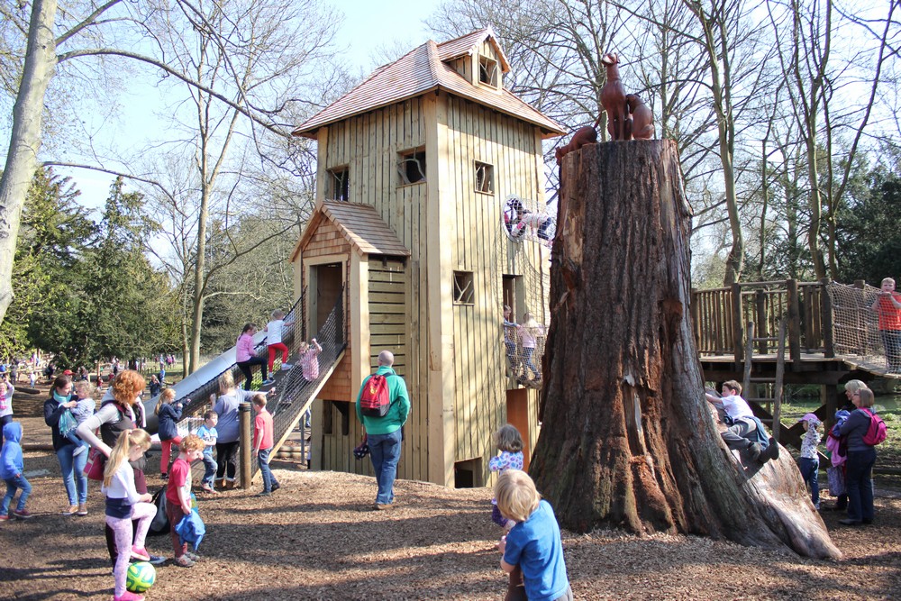 form in construction contract Forest  House Playground   Blue Belton